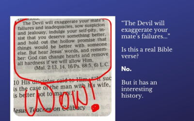 Is “The Devil will exaggerate your mate’s failures” a Real Bible Verse?