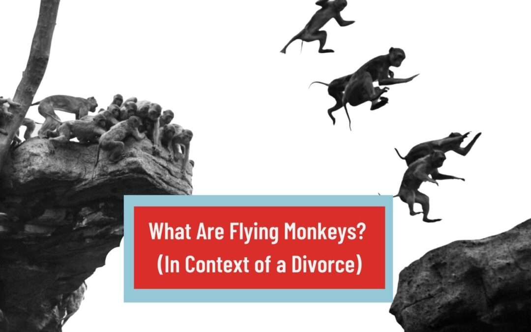 What is a Flying Monkey? (In the Divorce Context)