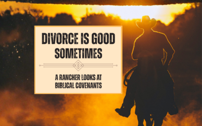Divorce Is Good Sometimes: Biblical Covenants, Bondage, and Deliverance